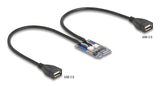 DeLOCK 64346 interface-kort/adapter Intern USB 2.0