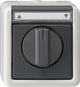 GIRA 015430 elektrisk afbryder Sort, Grå