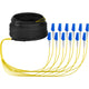EFB Elektronik O8342S10OS2 InfiniBand og fiberoptisk kabel 10 m 12x LC U-DQ(ZN) BH Sort, Blå, Gul