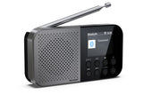 Sharp DR-P520 Personligt Digital Grå
