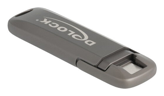 DeLOCK 54013 USB-nøgle 512 GB USB Type-C Grå