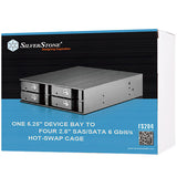 Silverstone FS204 disk array 0 TB Sort