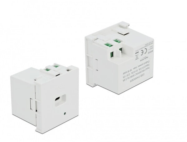DeLOCK 81312 stikkontakt USB C Hvid