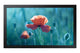 Samsung QB13C 33 cm (13") LCD Wi-Fi 500 cd/m² Fuld HD Sort 16/7