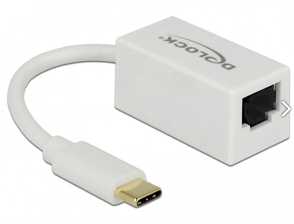 DeLOCK 65906 dockingstation USB Type-C Hvid