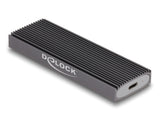 DeLOCK 42019 drevkabinet SSD kabinet Grå M.2