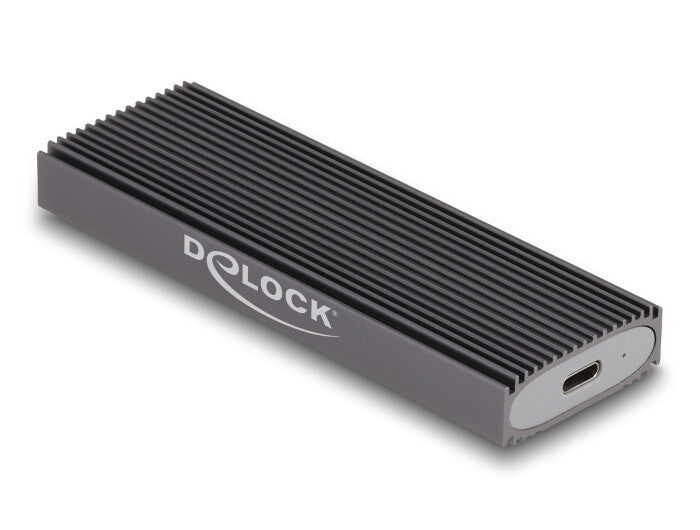 DeLOCK 42019 drevkabinet SSD kabinet Grå M.2