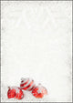 Sigel DP247 printpapir A4 (210x297 mm) 100 ark Flerfarvet