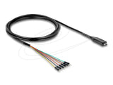 DeLOCK 63967 seriel konverter/repeater/isolator USB 2.0 TTL Sort
