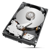 Seagate IronWolf Pro ST2000NT001 harddisk 2 TB 7200 rpm 256 MB 3.5"