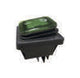 Bachmann 924.176 elektrisk afbryder Kipafbryder 2P Sort, Grøn