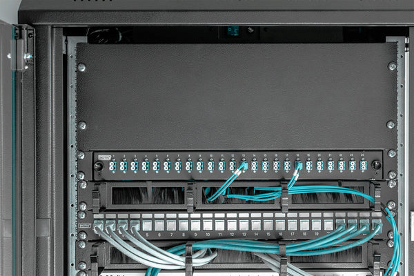 Digitus DN-19 BPN-04-SW tilbehør til rack
