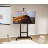 Manhattan 462709 tv-beslag 3,05 m (120") Sort