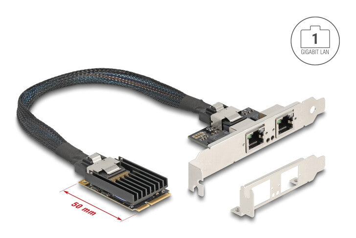 DeLOCK 95280 interface-kort/adapter Intern RJ-45