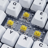 Sharkoon SKILLER SGK50 S3 PBT tastatur Spil USB QWERTZ Tysk Hvid