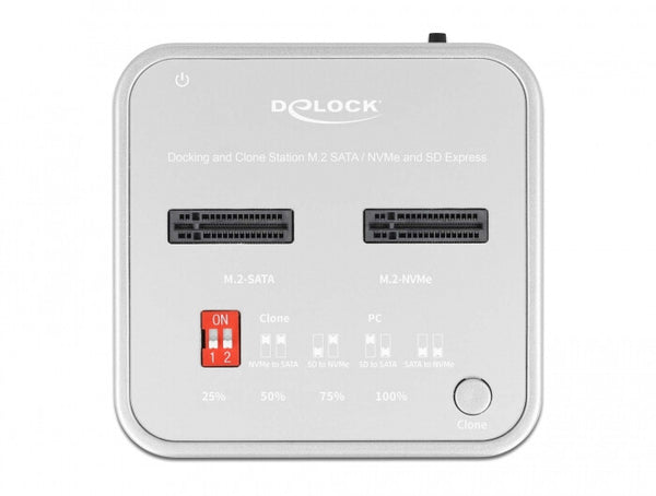 DeLOCK 64138 drev dockingstation Sølv