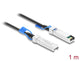 DeLOCK 84076 InfiniBand og fiberoptisk kabel 1 m SFP28 Twinax Sort
