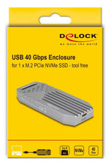 DeLOCK 42033 drevkabinet SSD kabinet Grå M.2