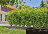 Gardena 13500-20 drypvandingssystem