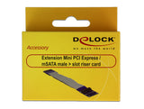 DeLOCK 65837 interface-kort/adapter Intern mSATA