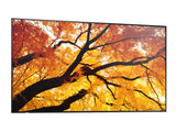 Sharp MultiSync M502 Digital fladpaneldisplay 127 cm (50") LCD 550 cd/m² 4K Ultra HD Sort 24/7