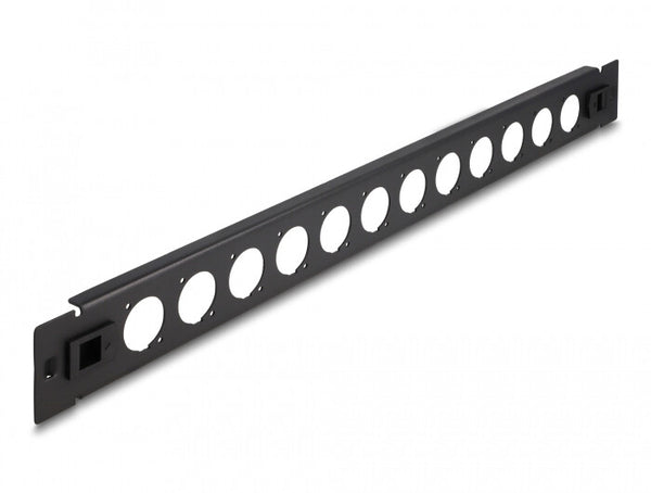 DeLOCK 66900 tilbehør til rack Patch-panel