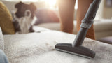 Philips 8000 series XD8152/12 støvsuger 4 L Beholder vakuum Dry 900 W Støvpose