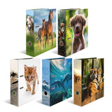 HERMA 20101 ringbind A4 Flerfarvet
