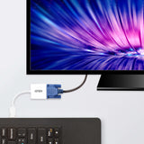 ATEN VC925-AT videokabel adapter DisplayPort VGA (D-Sub) Hvid