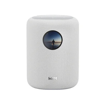 WiiM Sound 2-vejs Hvid Kabel & trådløs 100 W