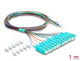 DeLOCK 91048 InfiniBand og fiberoptisk kabel 1 m 12x SC Pigtail Blå