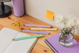 BIC Evolution 2HB 12 stk