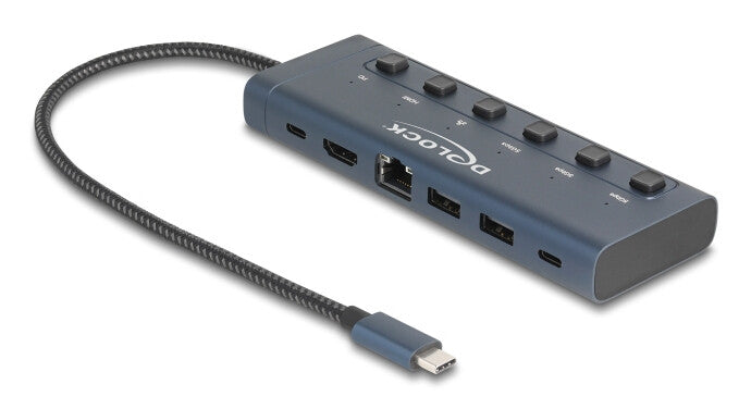 DeLOCK 92000 interface hub USB Type-C 5000 Mbit/s Blå