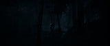 Sony Interactive Entertainment Until Dawn Standard Flersproget PlayStation 5