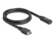 DeLOCK 85666 Interne USB-kabler
