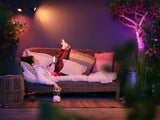 Philips Hue White and Color ambiance Lily udendørs spot