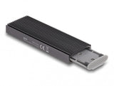 DeLOCK 42019 drevkabinet SSD kabinet Grå M.2