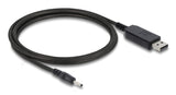 DeLOCK 90982 el-ledning Sort 1,5 m USB A DC