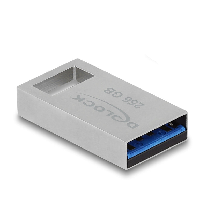 DeLOCK 54006 USB-nøgle 256 GB USB Type-A 3.2 Gen 1 (3.1 Gen 1) Grå