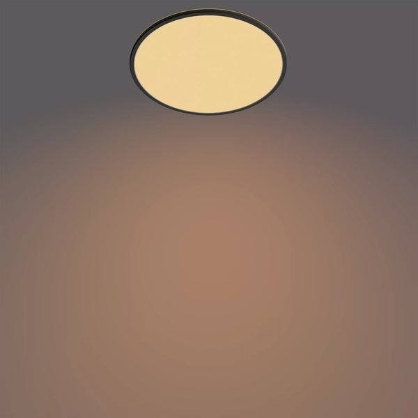 Philips Funktionel Super Slim loftslampe 22 W