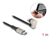 DeLOCK 80025 Lightning kabel 1 m Sort, Sølv