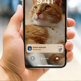 Philips 5000 series Pet Series Smart-foderautomat med kamera (PAW5320/02)