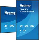 iiyama LH4366UHSB-B1AG skilte display Digital fladpaneldisplay 109,2 cm (43") LCD Wi-Fi 800 cd/m² 4K Ultra HD Sort Indbygget processer Android 24/7