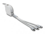 DeLOCK 85844 USB-kabel USB 2.0 0,98 m USB C USB C/Micro-USB B/Lightning Sølv, Hvid