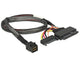 DeLOCK 84819 interface-kort/adapter Intern U.2, SATA