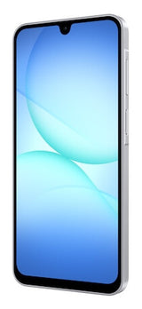 Samsung Galaxy A17 17 cm (6.7") Dual SIM Android 15 4G USB Type-C 4 GB 128 GB 5000 mAh Grå