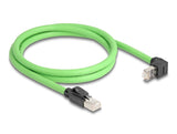 DeLOCK 80892 netværkskabel Sort, Grøn 1 m Cat6a SF/UTP (S-FTP)