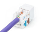 Digitus DN-93601 kilesten modul