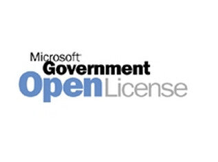 Microsoft 3LN-00010 software licens/opgradering Government (GOV) 1 År
