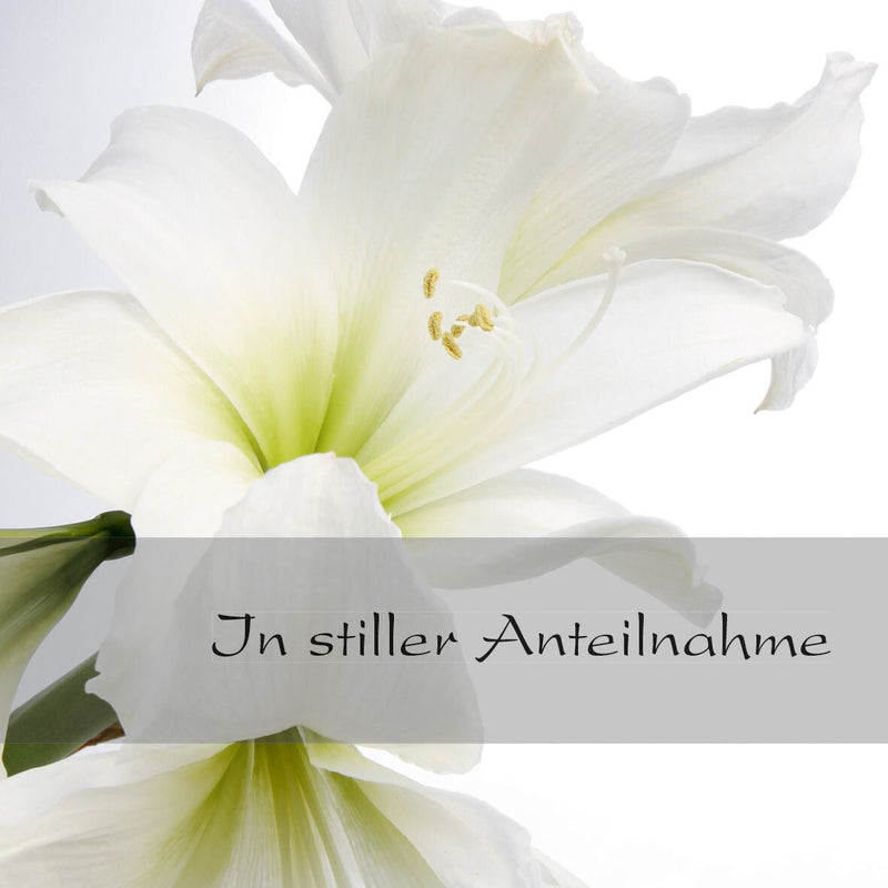 Sigel DS006 hilsen & sympati kort